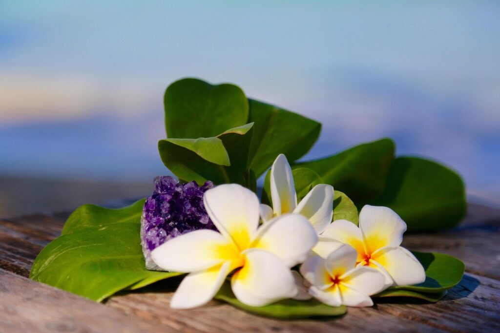 plumeria, gemstone, beach, hawaii, purple, nature, amethyst, stone